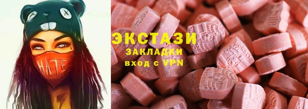индика Арсеньев