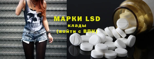 индика Арсеньев