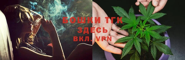 PSILOCYBIN Абаза