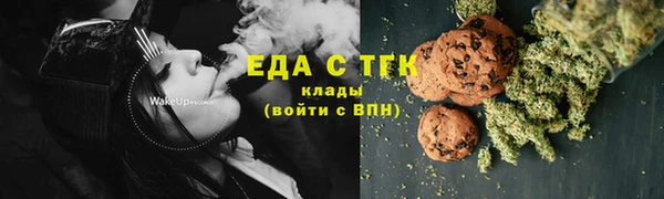 индика Арсеньев
