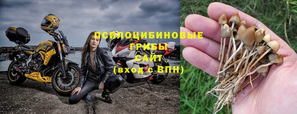 гашиш Аркадак
