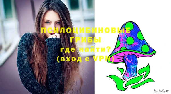 индика Арсеньев