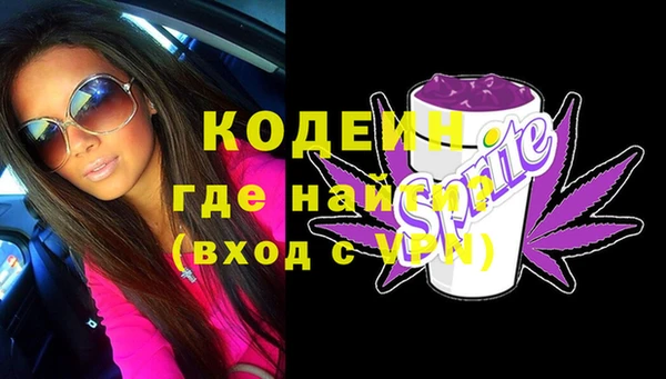 индика Арсеньев
