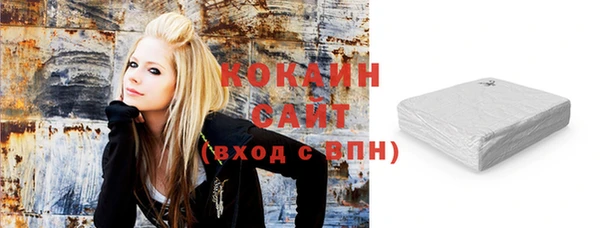 индика Арсеньев